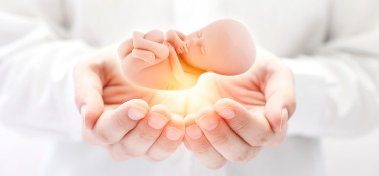 Tydzień Modlitwy o Ochronę życia